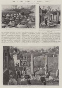 The Excavations at Bosco Reale by G.S. Amato